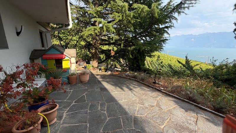 Bright villa of standing in an exceptional setting in Grandvaux, with a view of the lake and the vineyards (17)