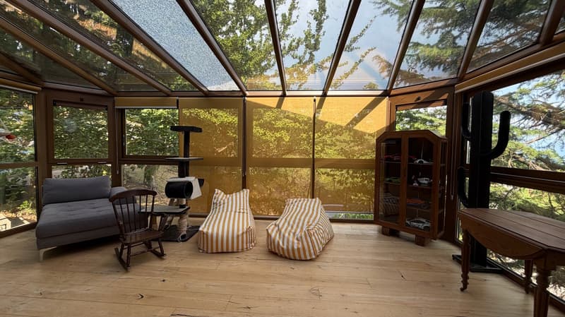 Bright villa of standing in an exceptional setting in Grandvaux, with a view of the lake and the vineyards (7)
