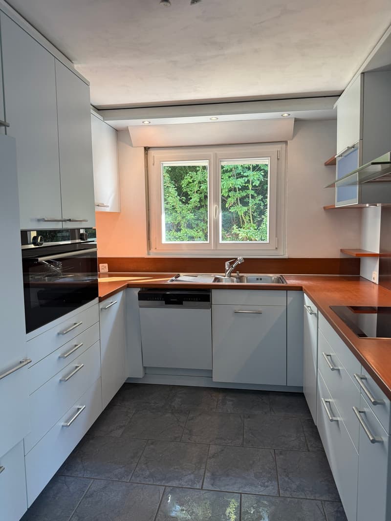 Magnifique villa 6.5 pièces à Blonay - Saint-Légier avec vue panoramique (3)