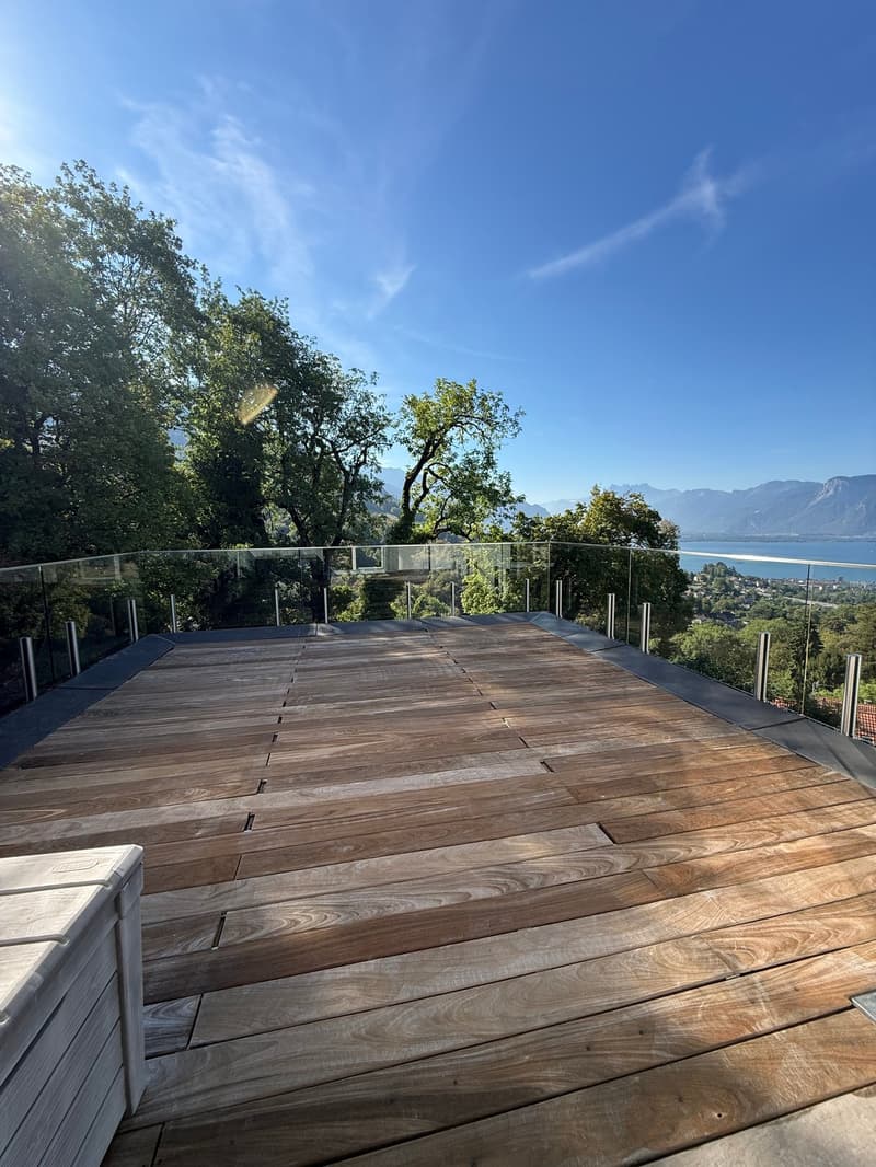 Magnifique villa 6.5 pièces à Blonay - Saint-Légier avec vue panoramique (17)