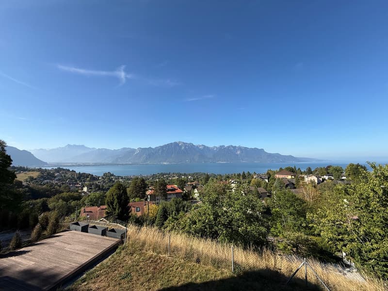 Magnifique villa 6.5 pièces à Blonay - Saint-Légier avec vue panoramique (11)