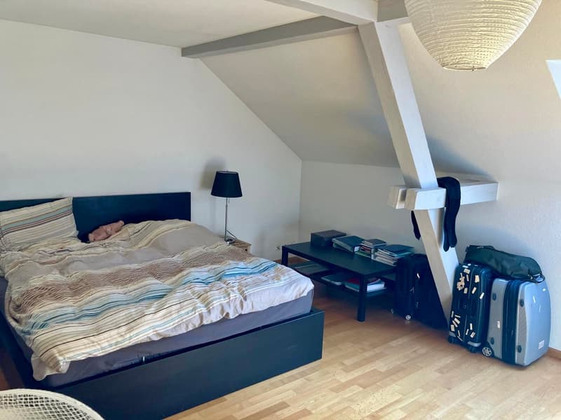 3-Zimmer-Dachwohnung mit Balkon in Binningen (6)