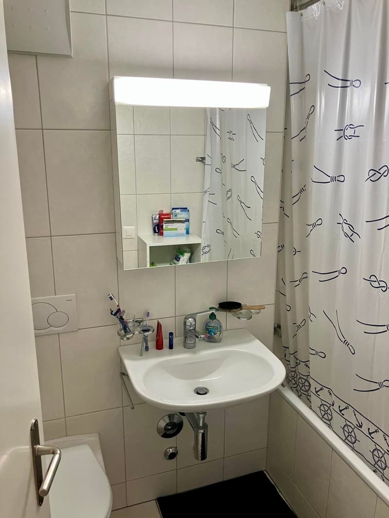 3-Zimmer-Dachwohnung mit Balkon in Binningen (4)