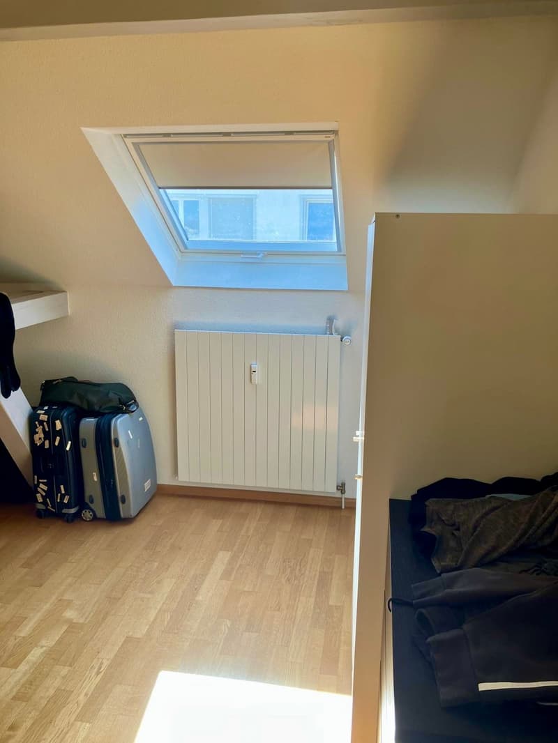 3-Zimmer-Dachwohnung mit Balkon in Binningen (5)