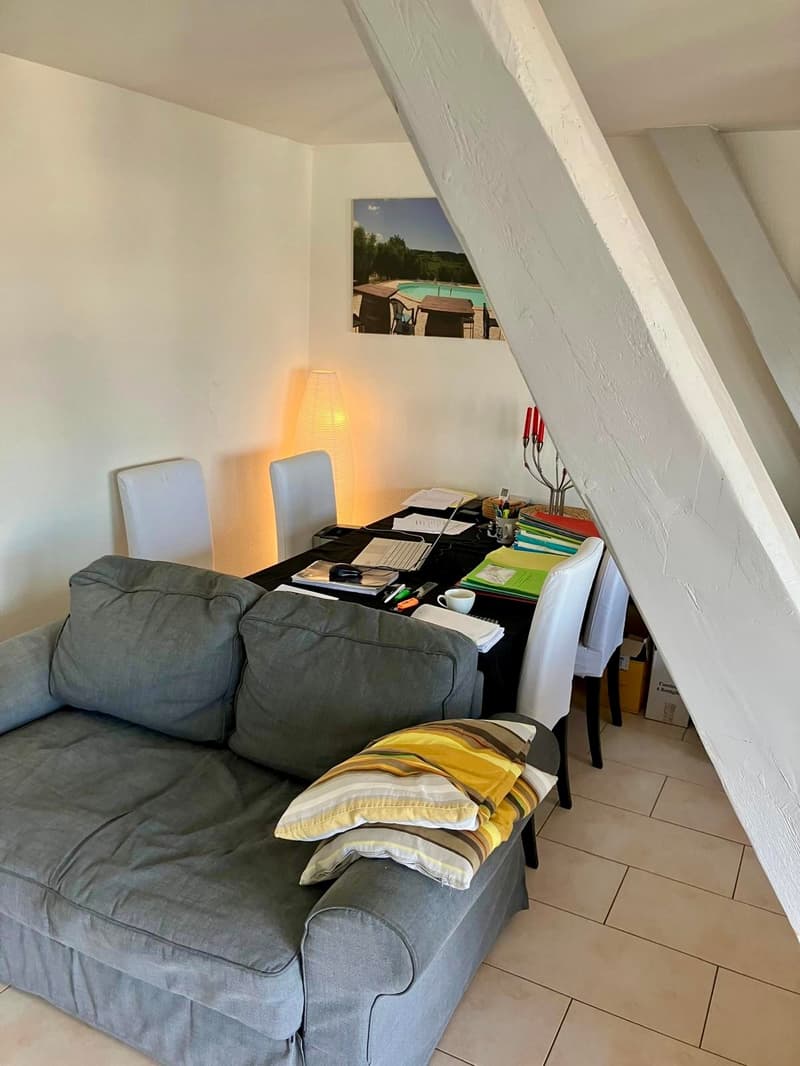 3-Zimmer-Dachwohnung mit Balkon in Binningen (3)