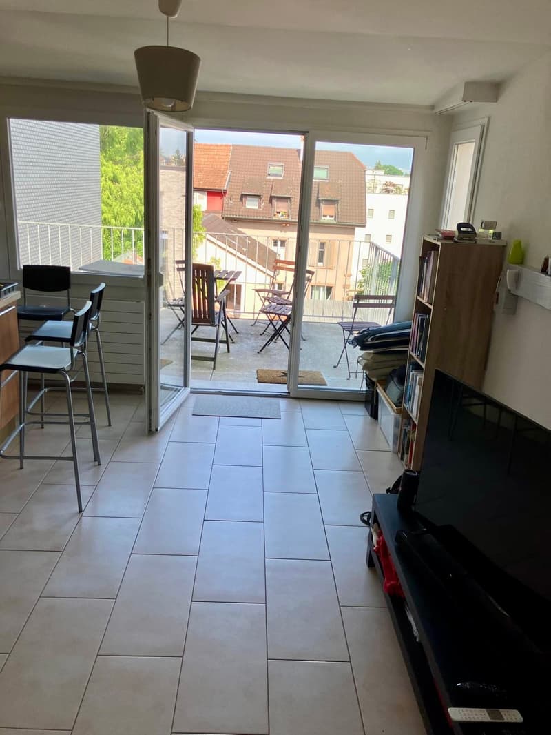 3-Zimmer-Dachwohnung mit Balkon in Binningen (1)