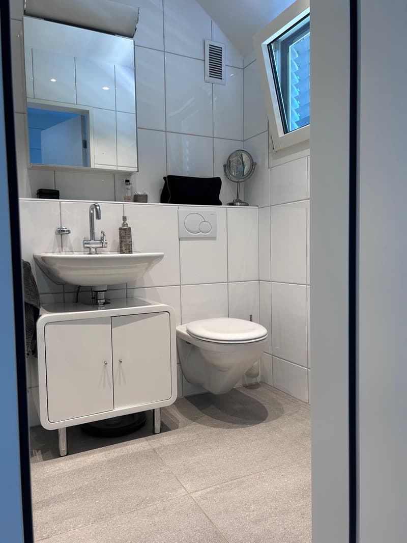 Geräumiges 6-Zimmer-Familienhaus zur Miete in Küsnacht (10)