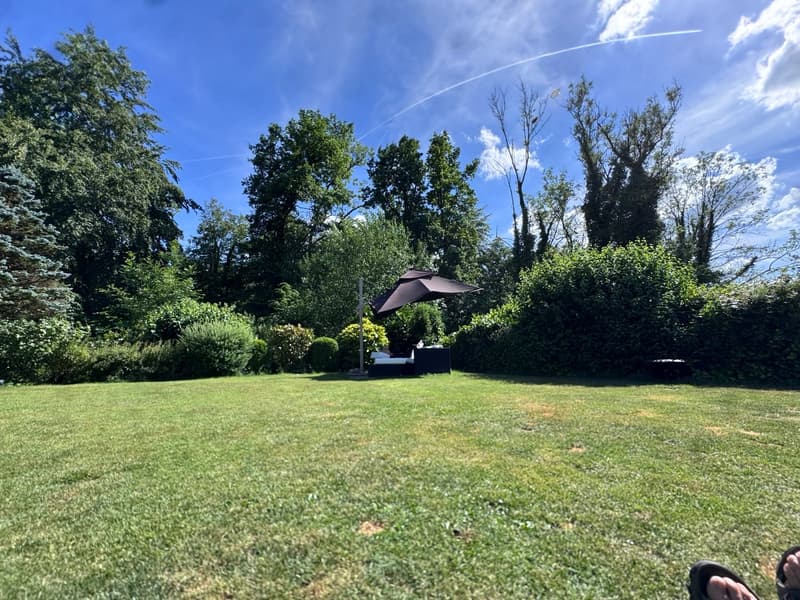 Geräumiges 6-Zimmer-Familienhaus zur Miete in Küsnacht (12)