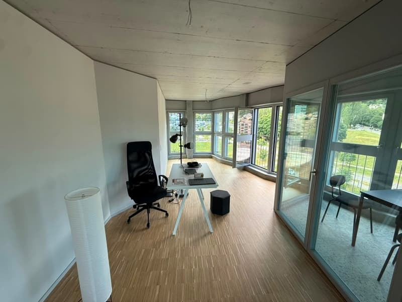 Stilvolles 2.5-Zimmer-Loft-Apartment auf der 9. Etage in Zürich-Triemli (6)