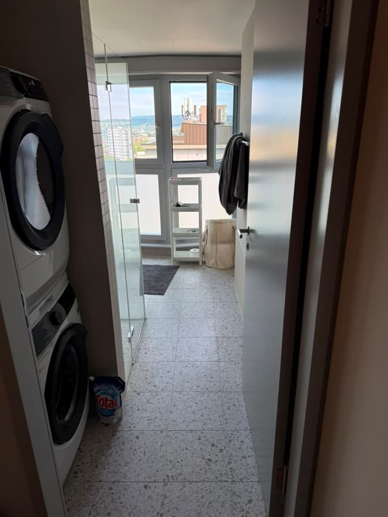 Stilvolles 2.5-Zimmer-Loft-Apartment auf der 9. Etage in Zürich-Triemli (11)