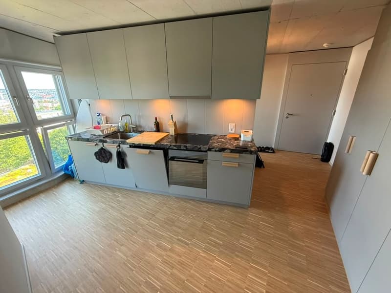 Stilvolles 2.5-Zimmer-Loft-Apartment auf der 9. Etage in Zürich-Triemli (3)