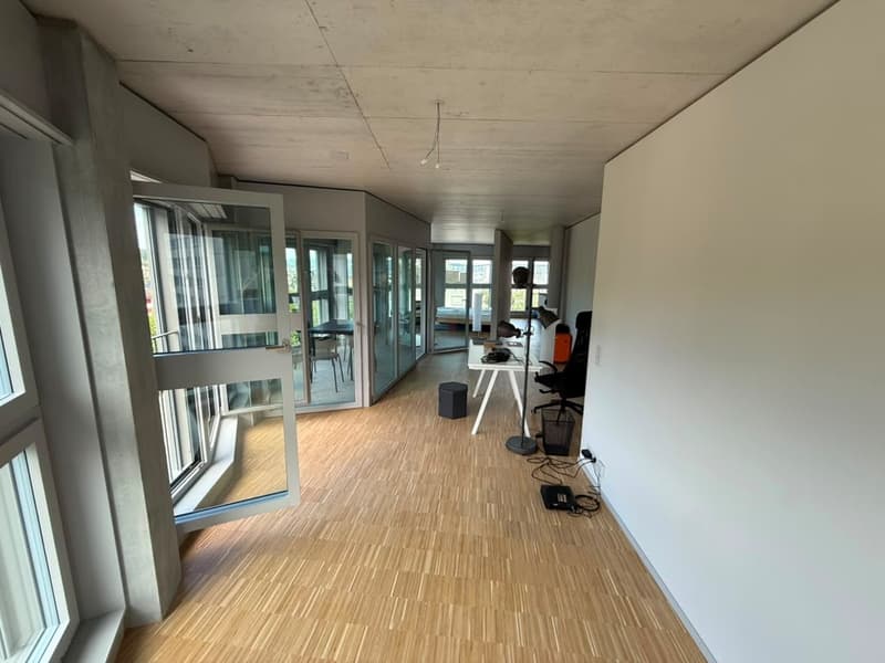 Stilvolles 2.5-Zimmer-Loft-Apartment auf der 9. Etage in Zürich-Triemli (5)