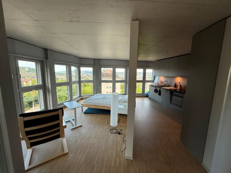 Stilvolles 2.5-Zimmer-Loft-Apartment auf der 9. Etage in Zürich-Triemli (2)