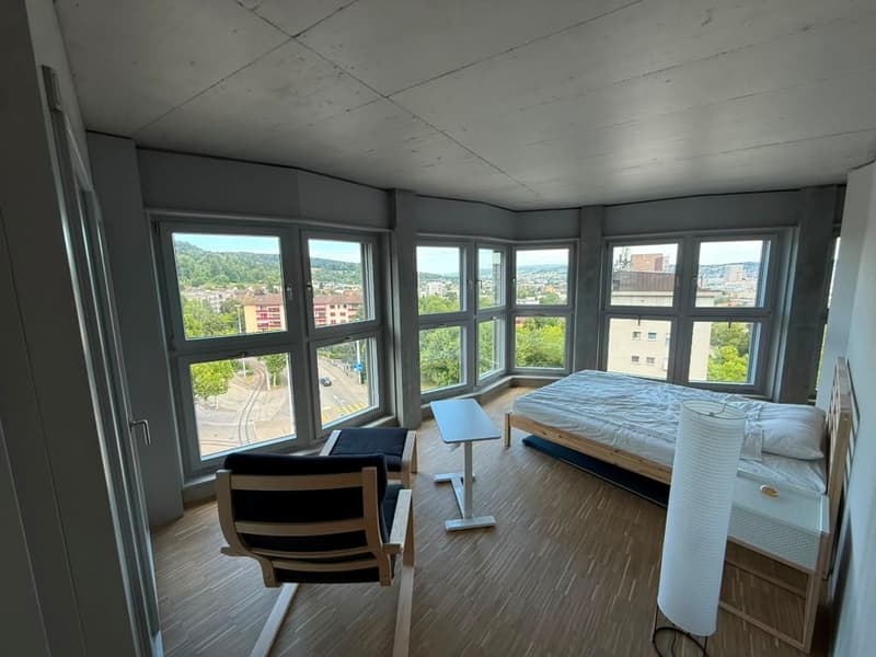 Stilvolles 2.5-Zimmer-Loft-Apartment auf der 9. Etage in Zürich-Triemli (8)