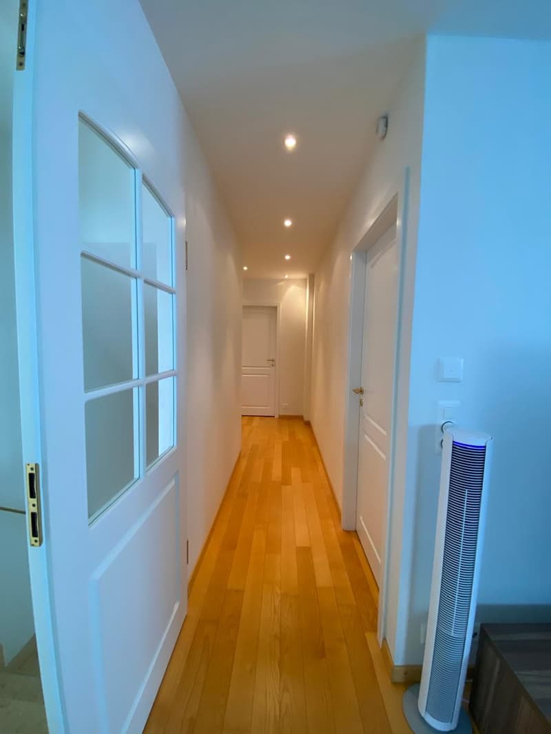 Magnifique duplex de 6 pièces avec vue panoramique à Vevey (8)