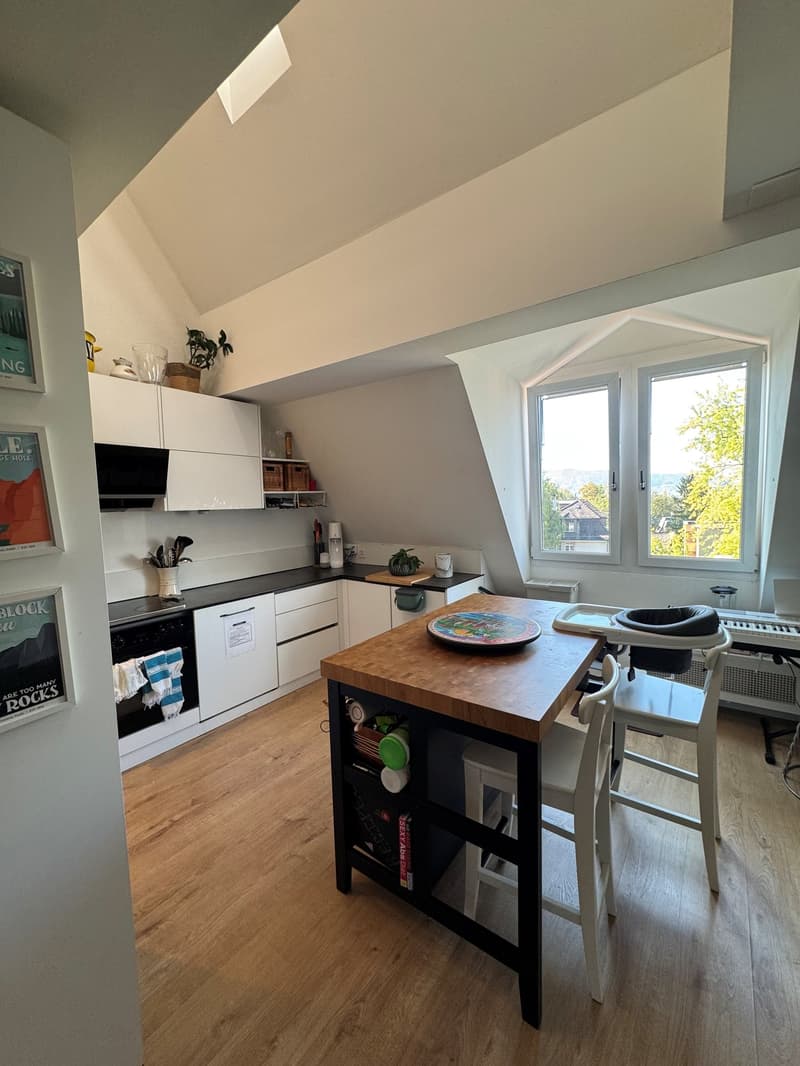 Spacious 4.5-Room Apartment with Balcony in Zürich 8006 (11)