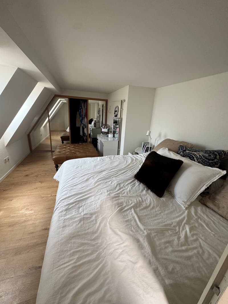 Spacious 4.5-Room Apartment with Balcony in Zürich 8006 (9)
