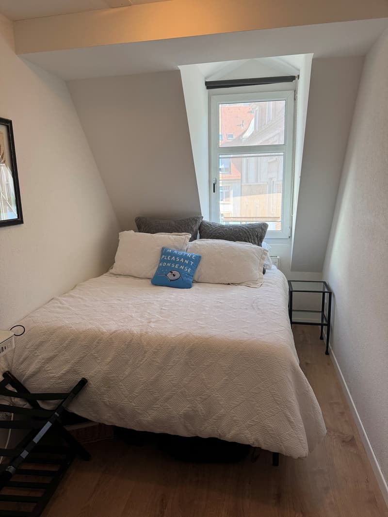 Spacious 4.5-Room Apartment with Balcony in Zürich 8006 (10)