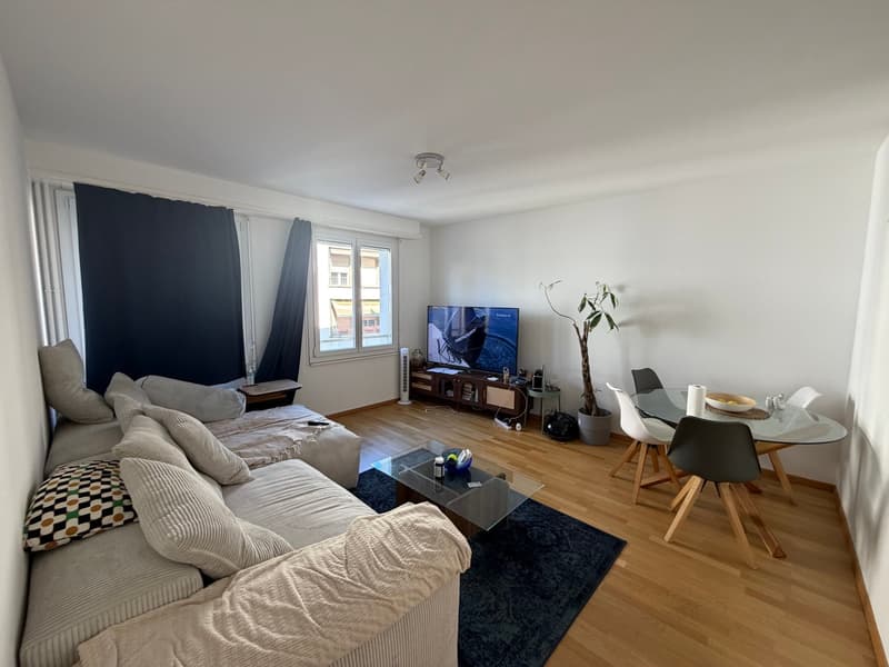 Charmant appartement de 2 pièces à Lausanne (1)