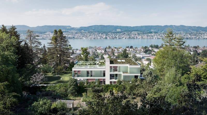 Stunning 4.5 - Room Apartment in Küsnacht (7)