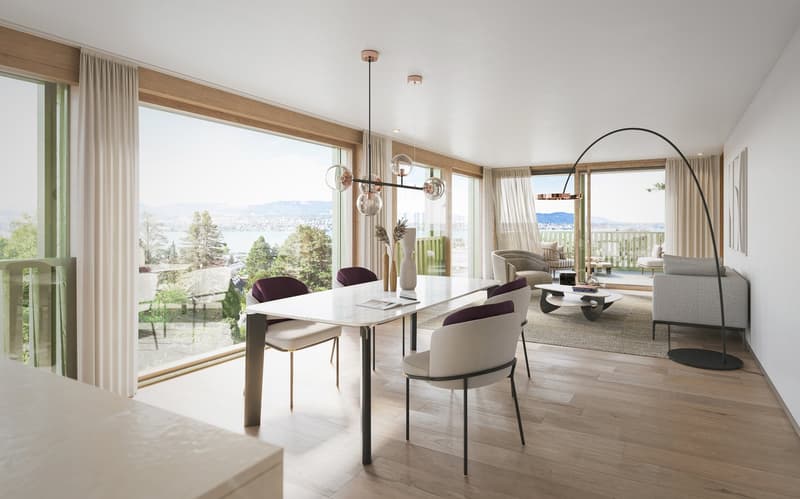 Stunning 4.5 - Room Apartment in Küsnacht (2)