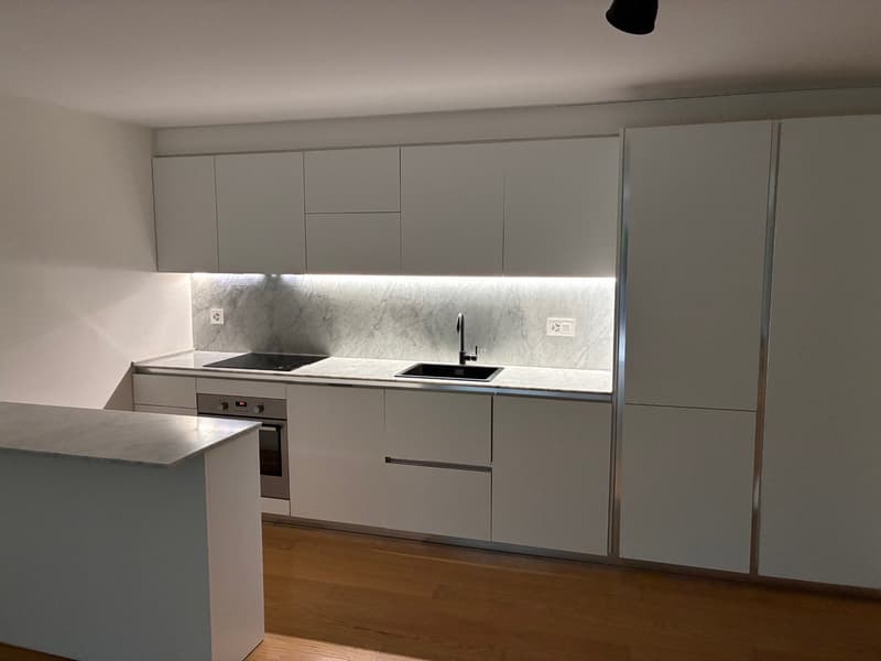 Appartement de 2 pièces avec grande terrasse (2)