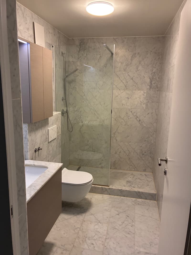 Appartement de 2 pièces avec grande terrasse (3)