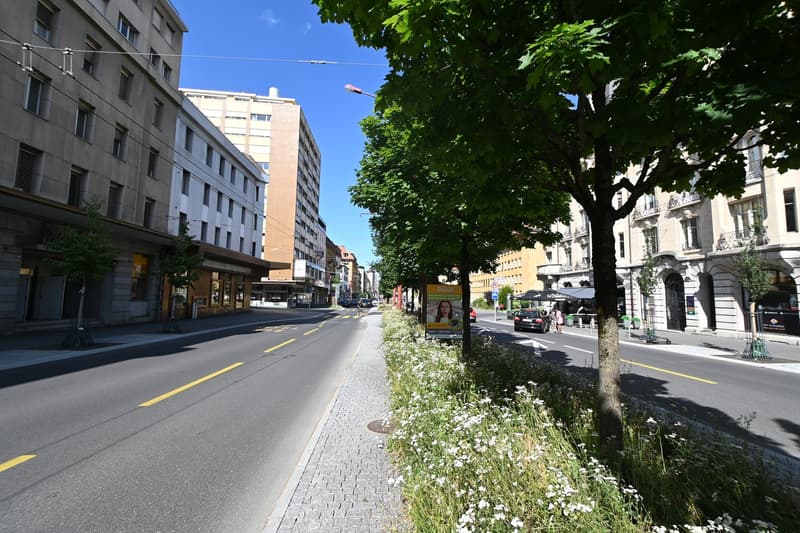 Building with 12 apartments in the heart of La Chaux-de-Fonds (4)