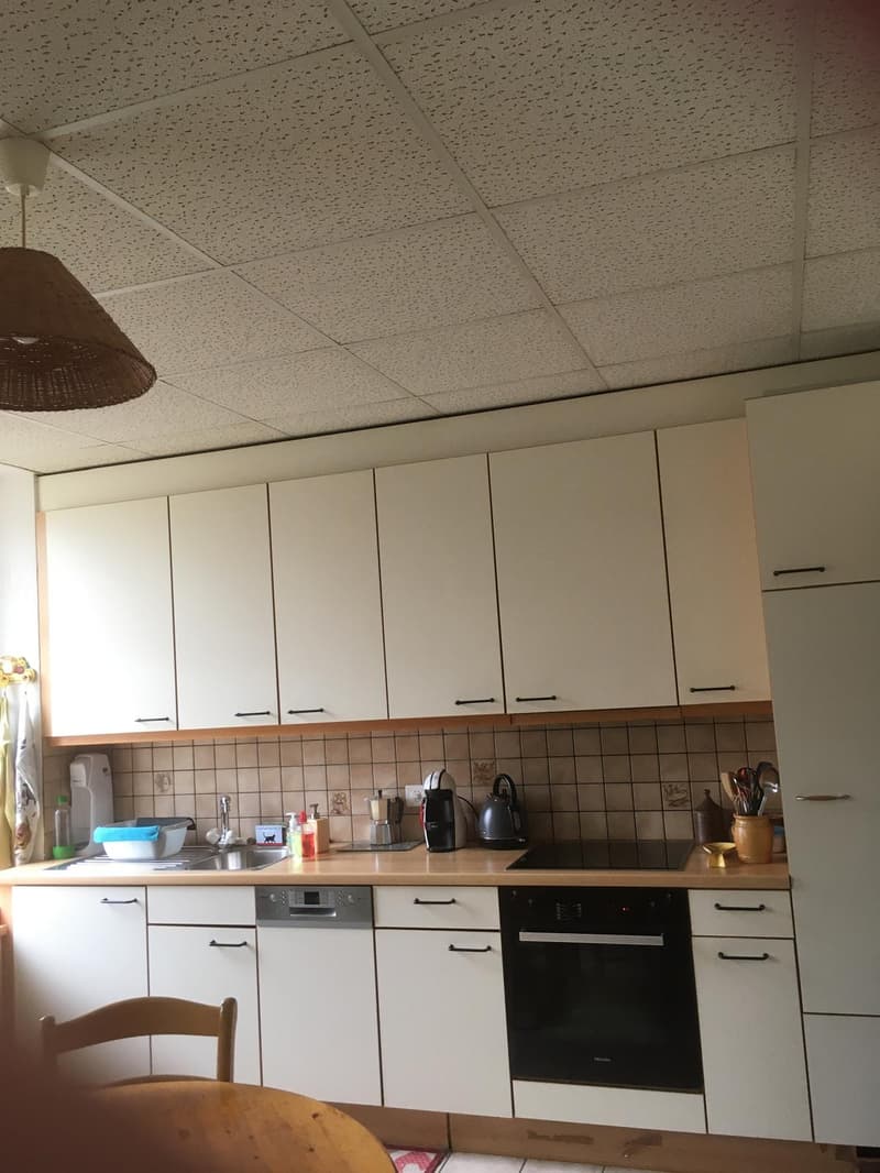 Building with 3 apartments and a commercial space with potential (7)