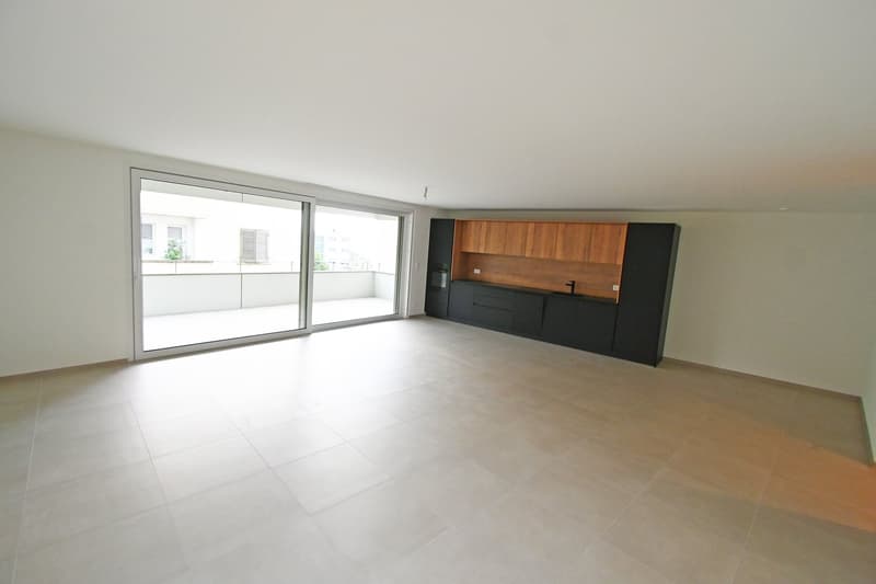 Magnificent apartment with 17 m2 balcony and garage (1)