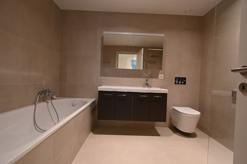 Magnificent apartment with 17 m2 balcony and garage (3)