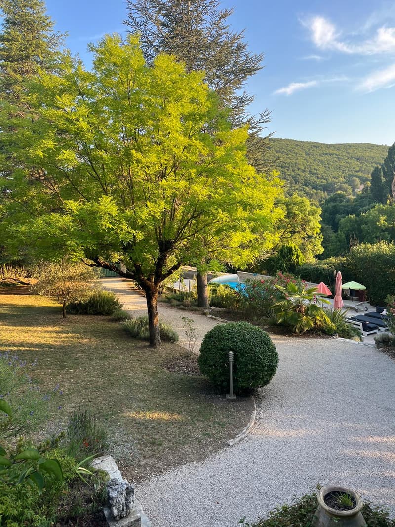 Charmante villa en pierre à Dauphin – 7 pièces avec piscine et grand terrain (5)