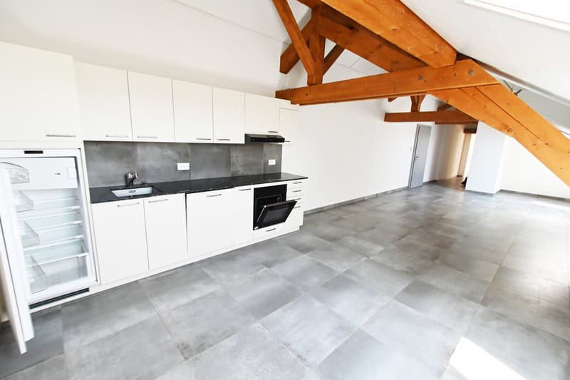 Appartement lumineux au milieu de la campagne et proche des commodités (7)