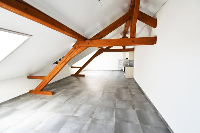 Appartement lumineux au milieu de la campagne et proche des commodités (4)