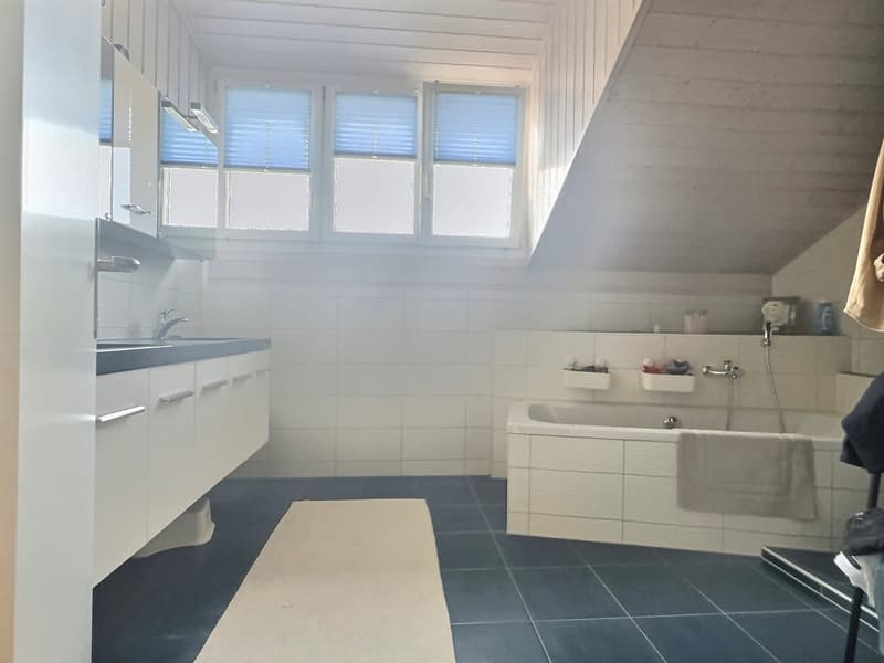 Beautiful individual villa in absolute calm with geothermal energy in Domdidier (10)