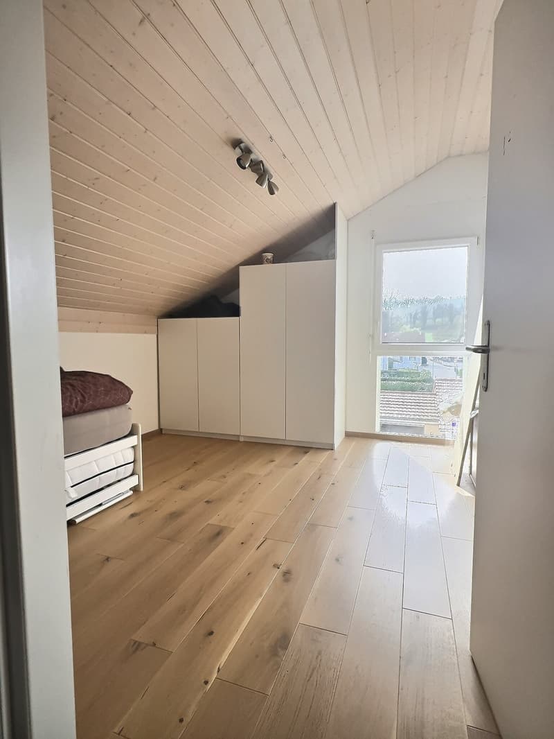 Beautiful individual villa in absolute calm with geothermal energy in Domdidier (8)
