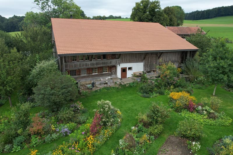 traditional wooden house, tiled roof, front garden with lawn and plants, wooden door