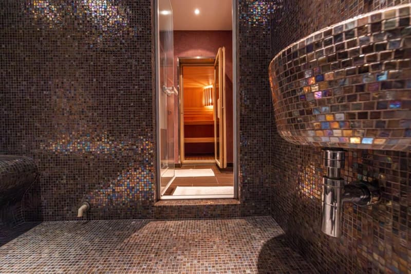 Chalet 6 rooms in Villars (23)