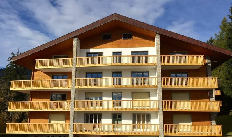 Appartamento di 2 locali a Villars-sur-Ollon (17)