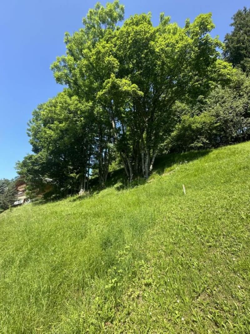 Terreno a Chesières (4)