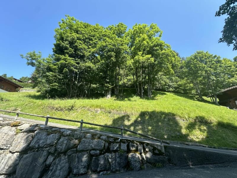 Terreno a Chesières (5)