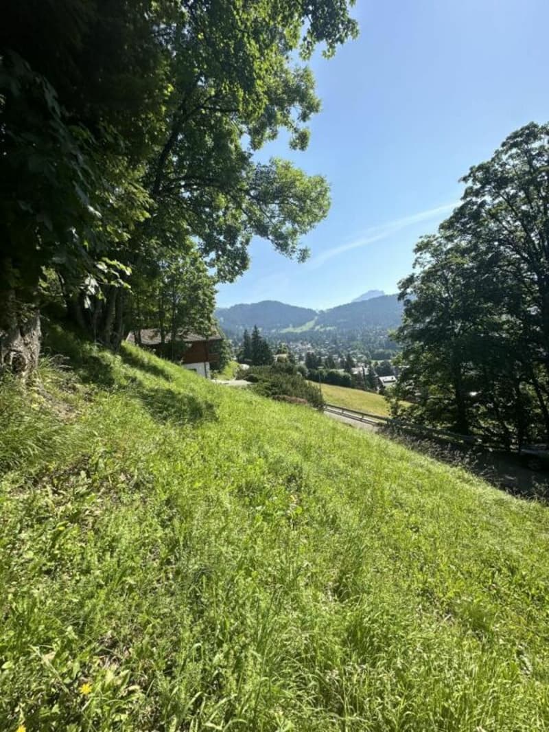 Terreno a Chesières (3)