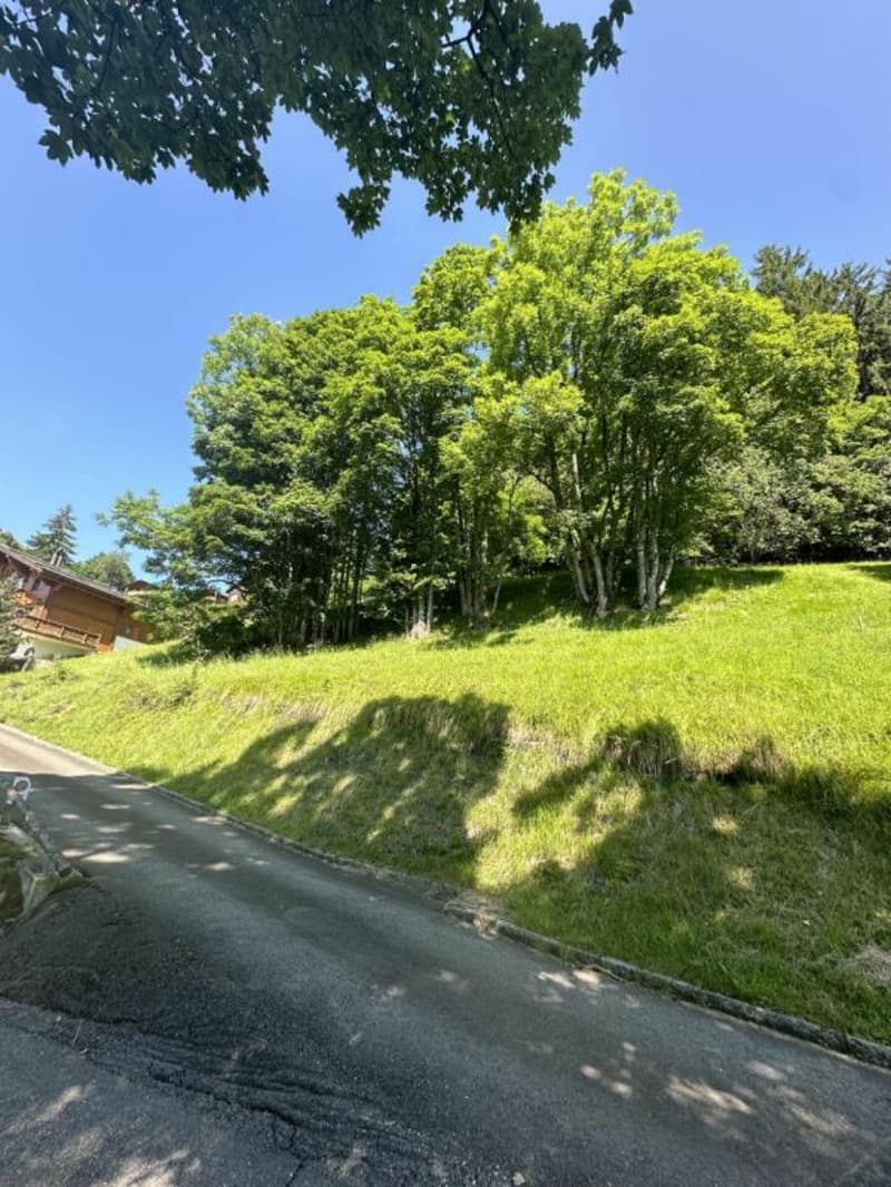 Terreno a Chesières (2)