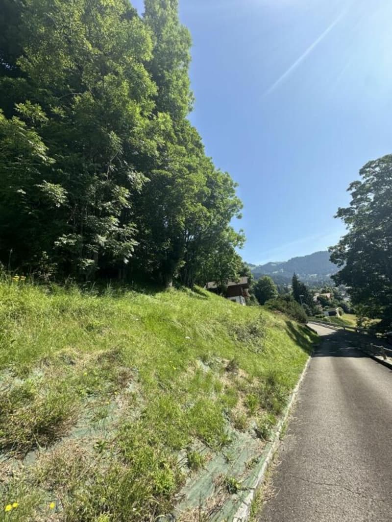 Terreno a Chesières (6)