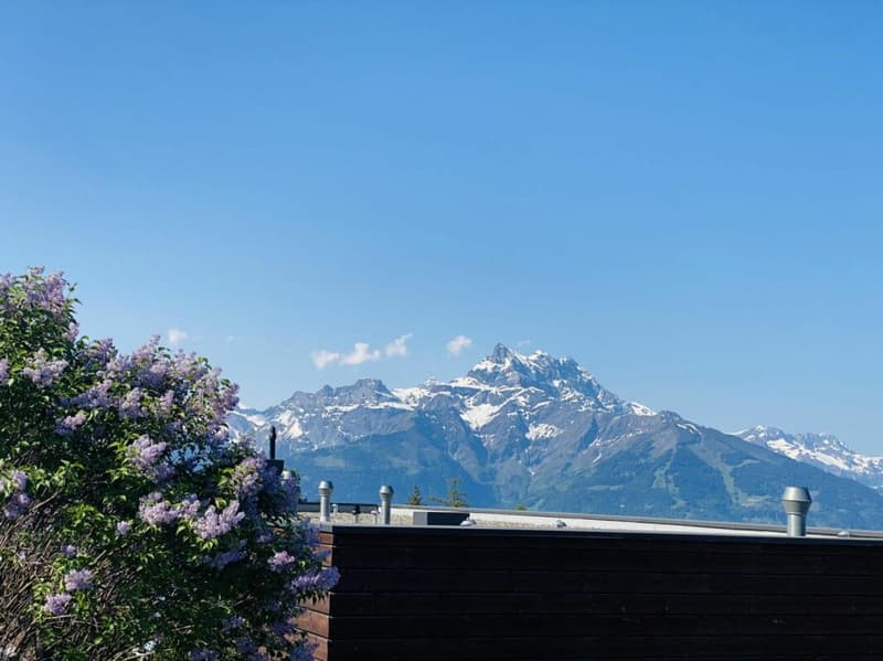 Appartamento di 4 locali a Villars-sur-Ollon (3)