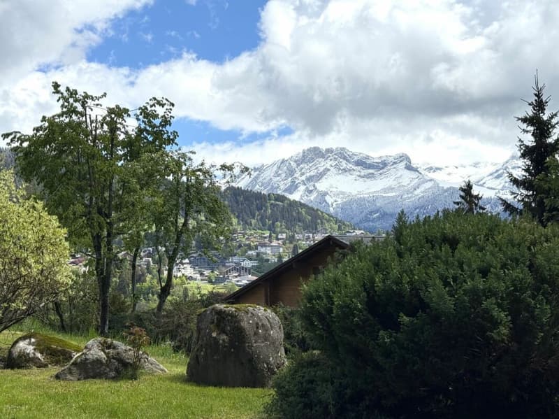 Renovated chalet with pretty garden and view (19)