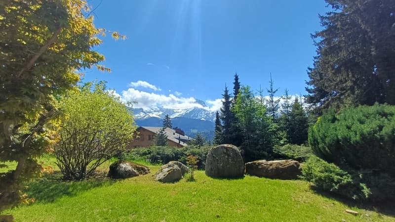Renovated chalet with pretty garden and view (27)