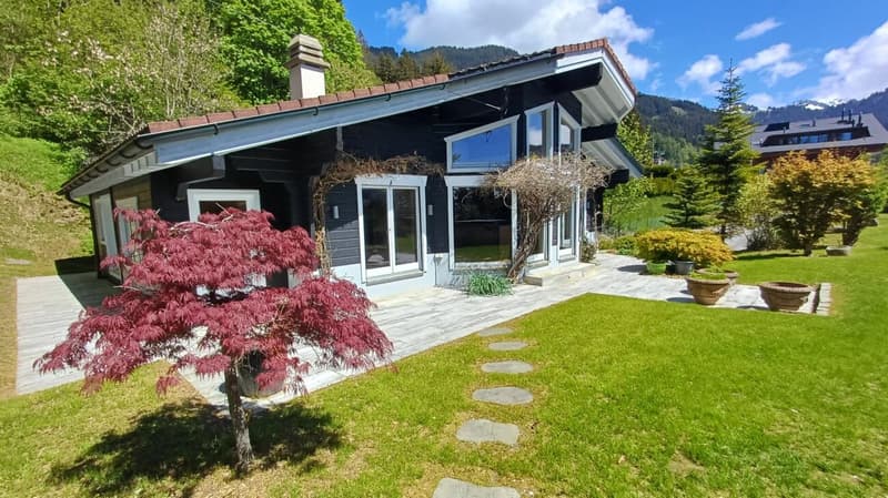 Renovated chalet with pretty garden and view (4)
