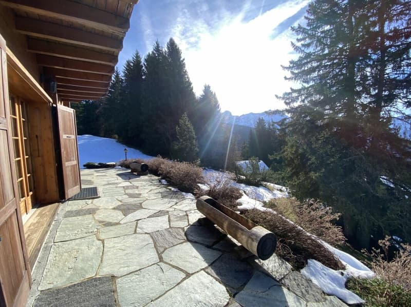 5 room chalets in Mazots of Gryon (19)