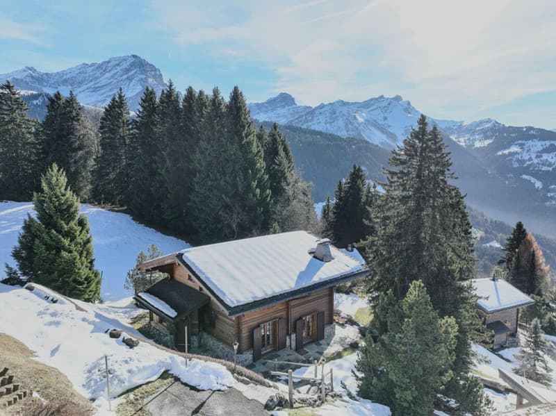 5 room chalets in Mazots of Gryon (23)
